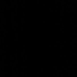 Meet your Posher, Keria